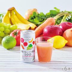 有機フルーツ+野菜100×6本*