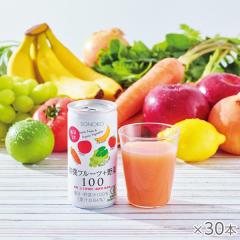 有機フルーツ+野菜100×30本*