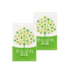 がんばれ善玉菌 2箱* 