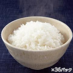 氷温熟成そのこ米ごはん 1箱36パック* 