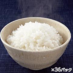 氷温熟成そのこ米ごはん 1箱36パック* 