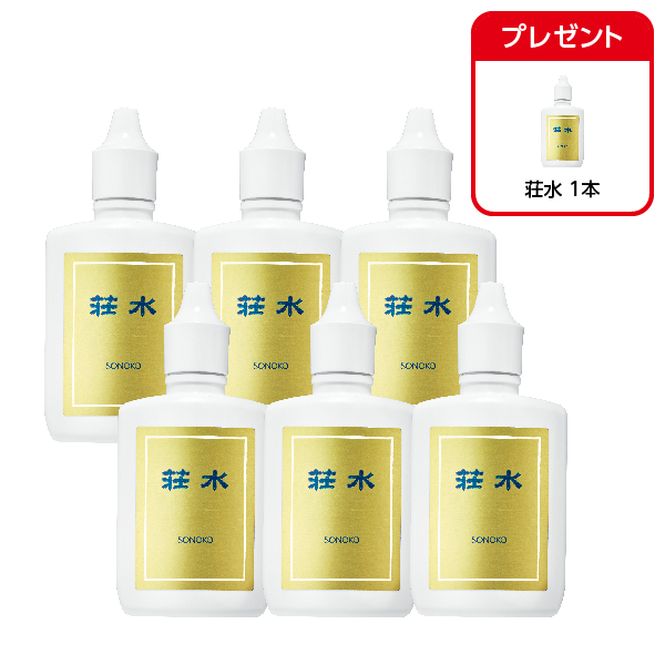 荘水6本セット