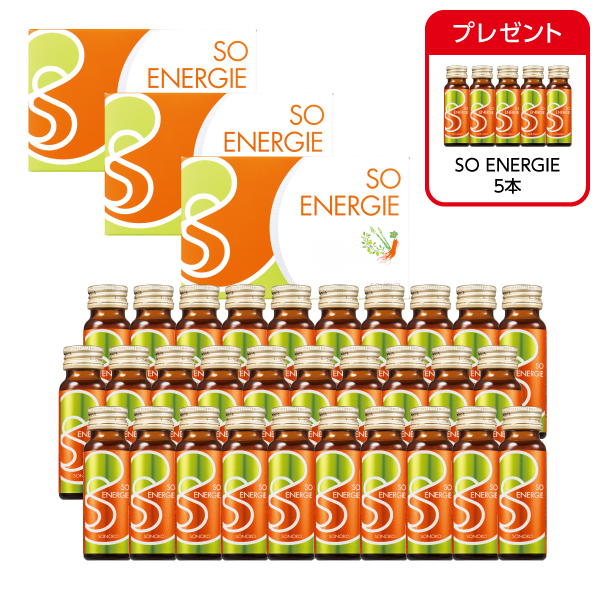 SO ENERGIE 3箱