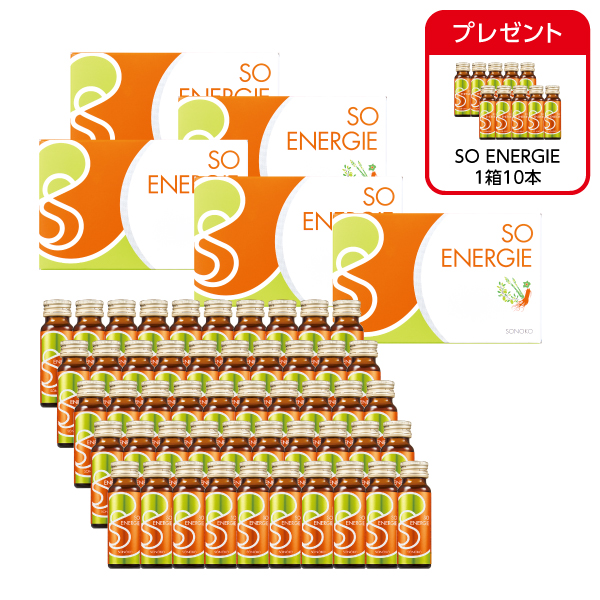 SO ENERGIE 5箱