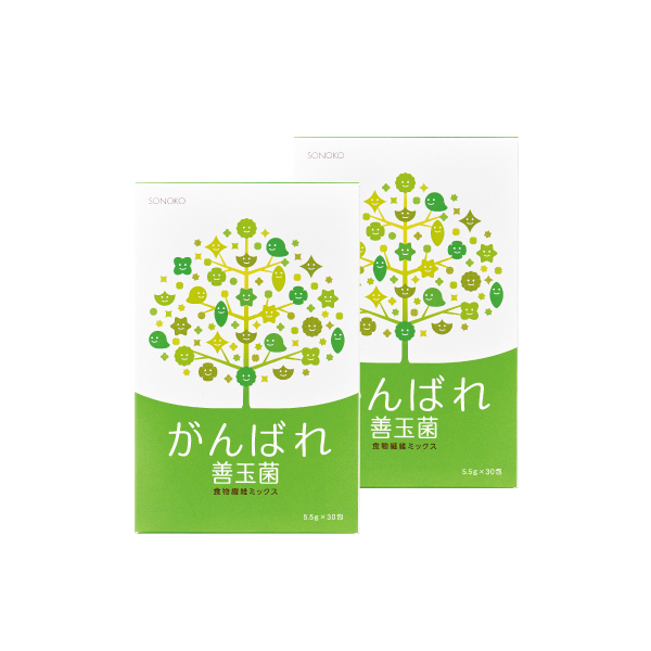 <!--がんばれ善玉菌 2箱*-->