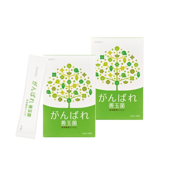 <!--がんばれ善玉菌 2箱*-->