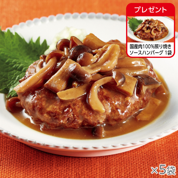 <!--国産肉100%照り焼きソースハンバーグ 5袋*-->