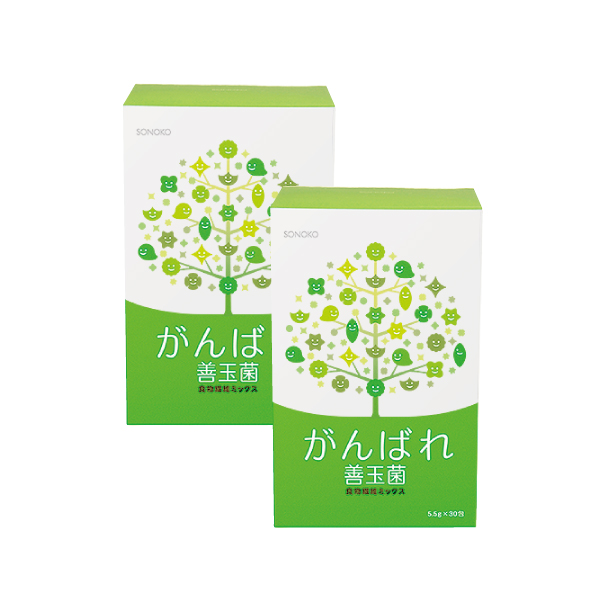 <!--がんばれ善玉菌 2箱*-->