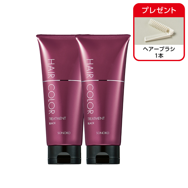 <!--ヘアカラートリートメント ブラック 2本-->