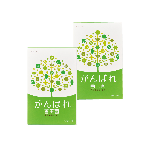 <!--がんばれ善玉菌 2箱*-->