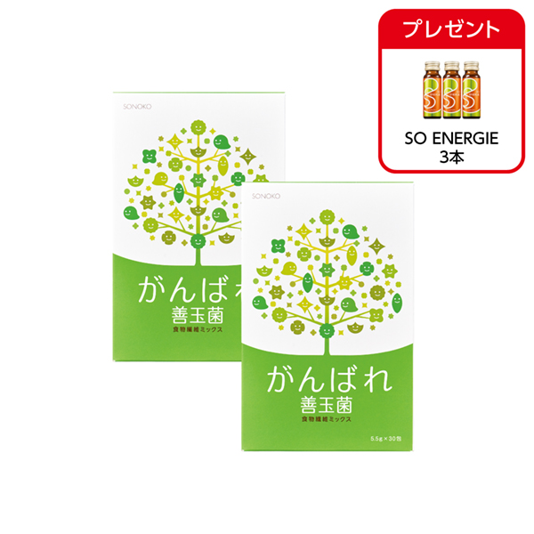 <!--がんばれ善玉菌 2箱* -->