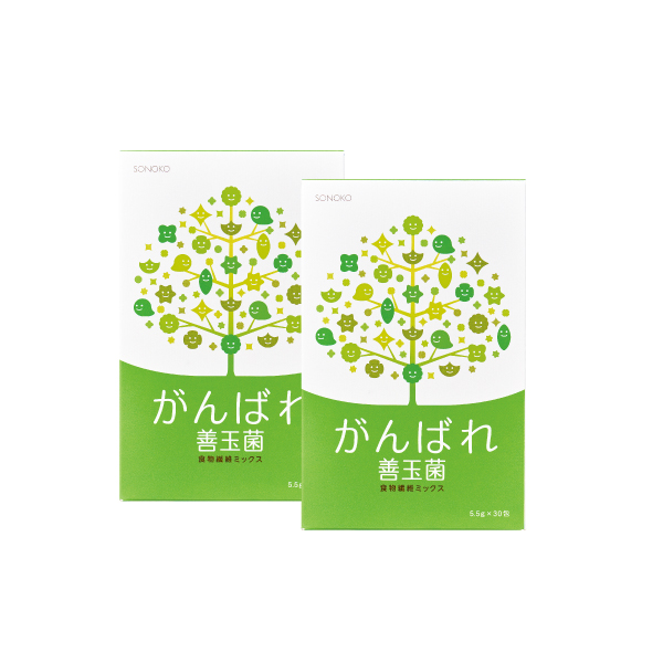 <!--がんばれ善玉菌 2箱* -->
