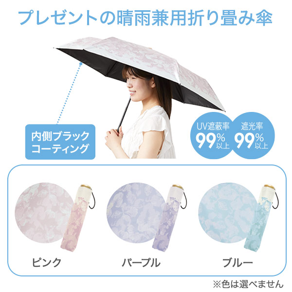 サマーコレクション2026リペアタイプ 