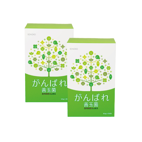 <!--がんばれ善玉菌 2箱* -->