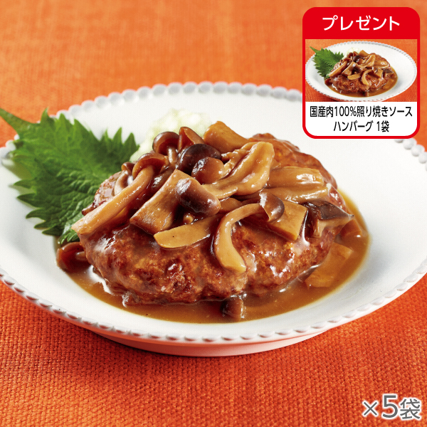 <!--国産肉100%照り焼きソースハンバーグ 5袋* -->