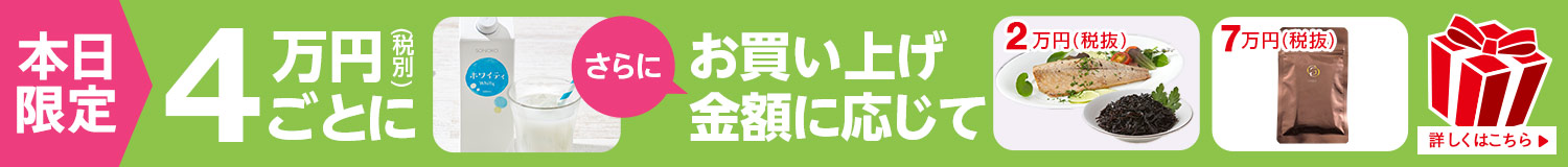 SONOKOの日プレゼント