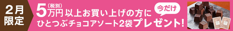 SONOKOの日プレゼント