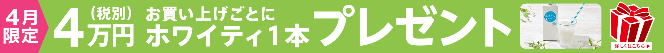 4万円以上プレゼント