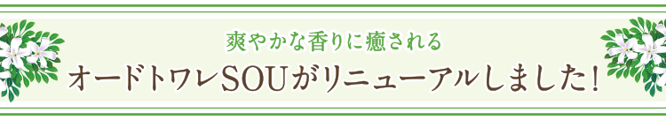 爽やかな香りに癒されるオードトワレSOUがリニューアルしました!