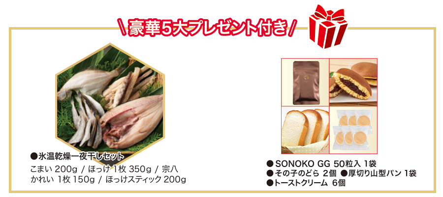 豪華5大プレゼント付き