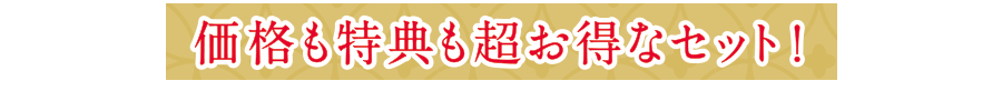 価格も特典も超お得なセット!