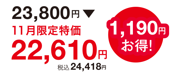 1,190円お得!23,800円⇒22,610円(税込24,418円)