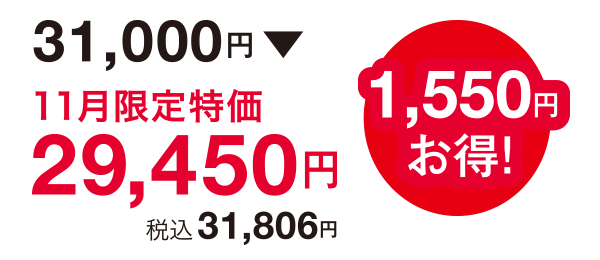 1,550円お得!31,000円⇒29,450円(税込31,806円)