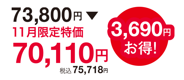 3,690円お得!73,800円⇒70,110円(税込75,718円)