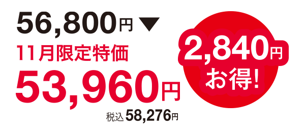 2,840円お得!56,800円⇒53,960円(税込58,276円)