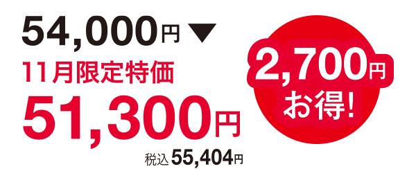 2,700円お得!54,000円⇒51,300円(税込55,404円)