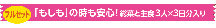 「もしも」の時も安心!総菜と主食3人×3日分入り