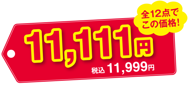 全て12点でこの価格! 11,111円 税込11,999円