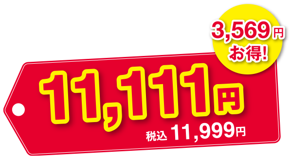 3,569円お得! 11,111円 税込11,999円