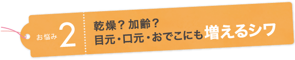 お悩み2　乾燥? 加齢?目元・口元・おでこにも増えるシワ