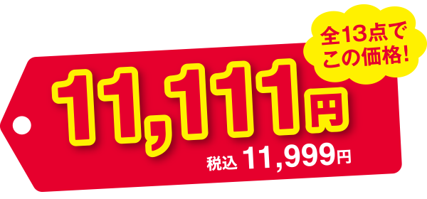 全て13点でこの価格! 11,111円 税込11,999円