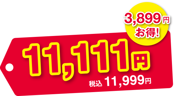 3,8999円お得! 11,111円 税込11,999円