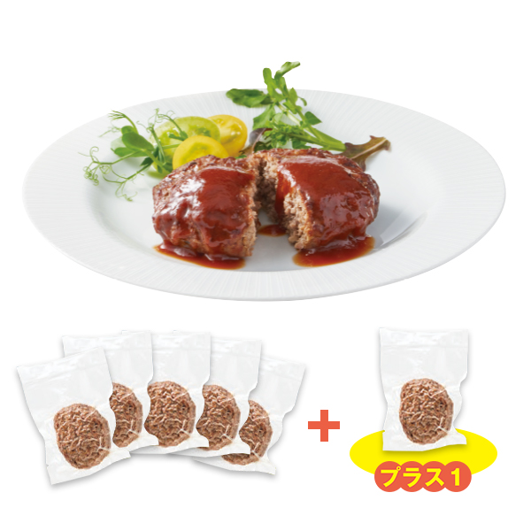 国産肉100%直火焼きハンバーグ 5個