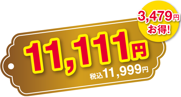3,479円お得! 11,111円 税込11,999円