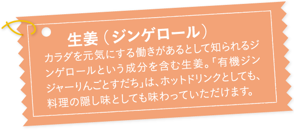 生姜( ジンゲロール)