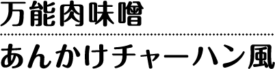 万能肉味噌あんかけチャーハン風