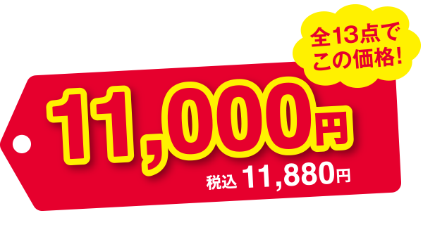 全13点でこの価格! 11,000円 税込11,880円