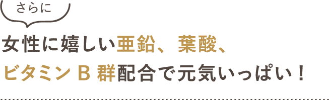 女性に嬉しい亜鉛、葉酸、ビタミンB群配合で元気いっぱい! 