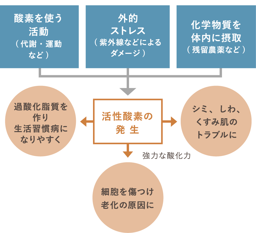 生きているうえでどうしても発生してしまう「活性酸素」